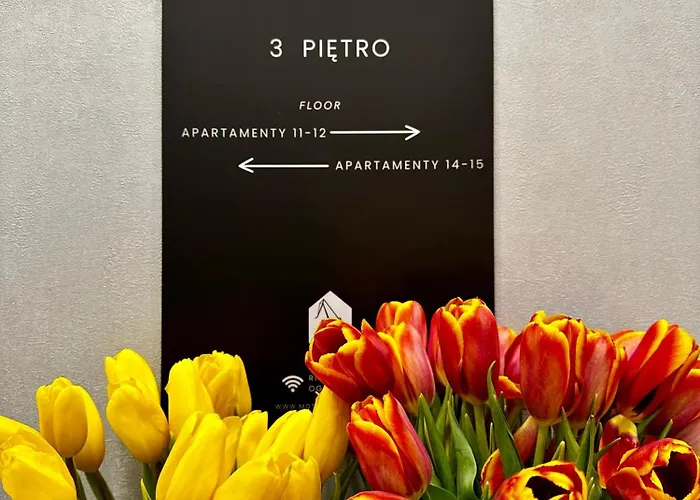 Motlawa Riverside - Boutique In Oda ve Kahvaltı Gdansk